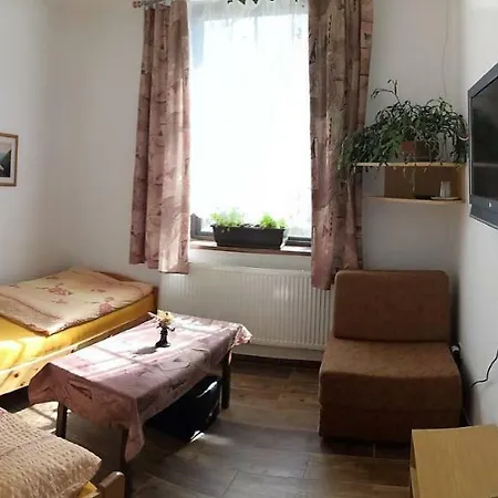 Guest house Blizanovy 3*