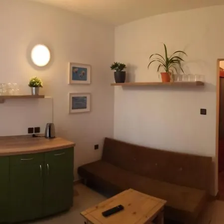 Guest house Blizanovy 3*